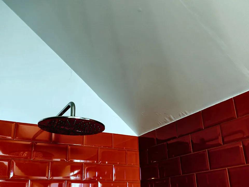 Ceiling shower head over red tile