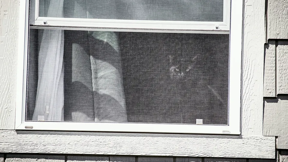 Window with a screen on the side of a house