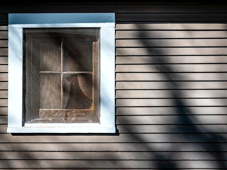 White-framed screened window on wood siding