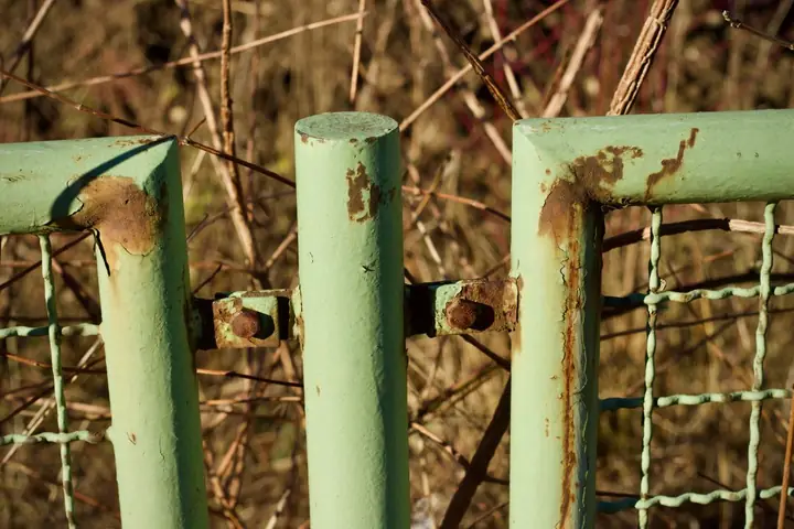 Close-up of a rusty green metal gate surrounded by dry plants outdoors, showcasing decay and nature